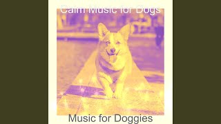 Subtle Moods for Cozy Dogs