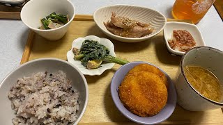 広島　Vlog 平凡な日常　フルタイム主婦　簡単料理　犬のいる暮らし　休日出勤と代休の日