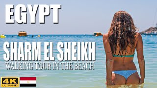 🇪🇬EGYPT Sharm El Sheikh Walking Tour In The Beach Summer 2024 [4K Ultra HD] Temperature: 36°C-96,8°F