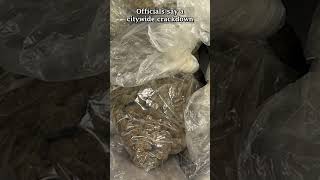 More than 225 pounds of marijuana seized in NJ city