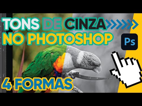 Vídeo: Como faço para converter uma camada em tons de cinza no Photoshop?