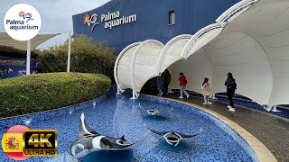 Palma aquarium Mallorca 🇪🇸 Spain 4K April 2022