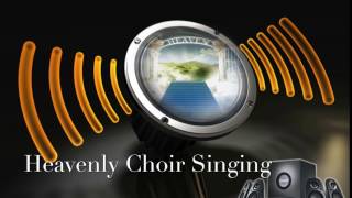Heavenly Choir Singing