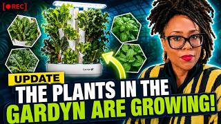 Gardyn Update The Plant Babies Are Doing Well
