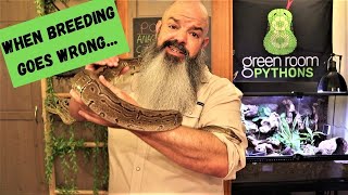 When Breeding Goes Wrong: Well, this is disappointing