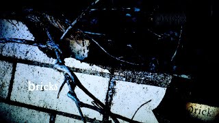 Bricks {a short film}