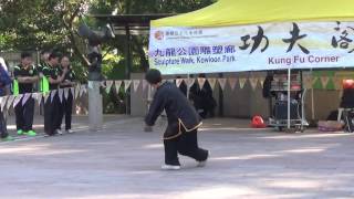 香港功夫表演2017012220