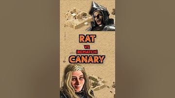 Rat vs Canary REMATCH | Stronghold Crusader: DE #strongholdcrusader #gameplay #rts