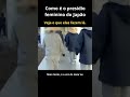 Como é o presídio feminino no Japão?