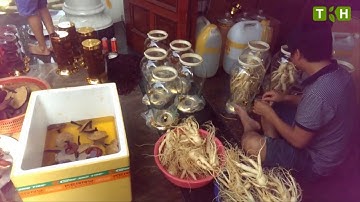 quà biếu tết cao cấp Nhân Sâm tươi Hàn Quốc và các sản phẩm sức khỏe uy tín khác