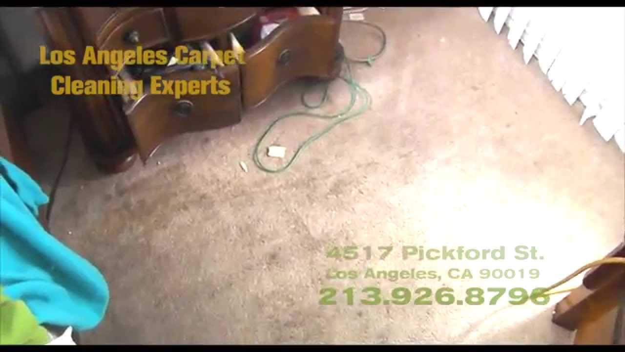 Los Angeles Carpet Cleaning Experts (213)9268796 YouTube