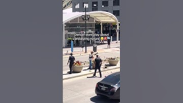 Cây cảnh trồng ven đường