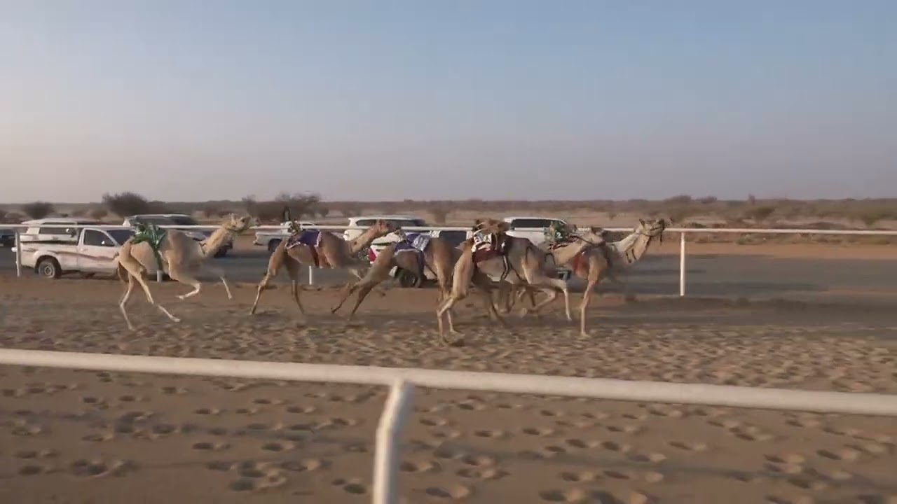 ش10 قعدان مفاريد 1447/09/10هـ - 2026/02/27م (الخفجي) بدر عليان محفوظ القويعاني