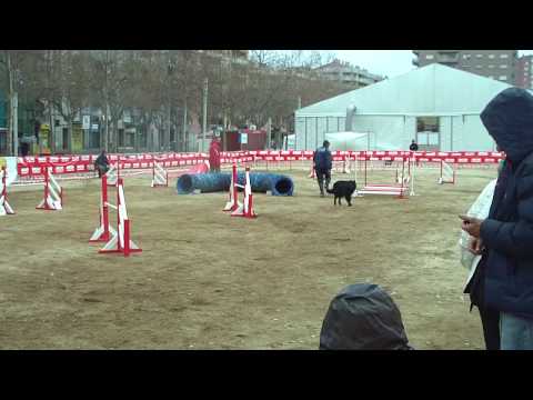 Juan Tyson jumping div honor (2).MOV