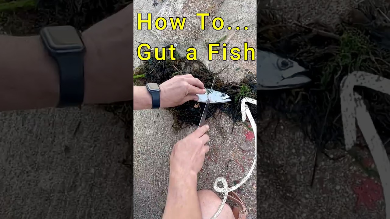 How to Gut a Fish in under 30 Seconds 🐟 