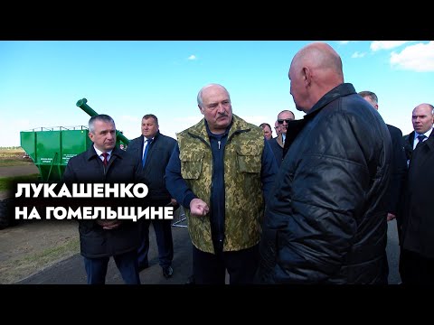 Лукашенко: С Вас Головы Я Снесу Первыми! Ты Их Научил, А Они Нихрена Не Делают!