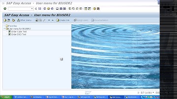 SAP BWBI Training Tutorials | SAP BW BI Landscape Architecture