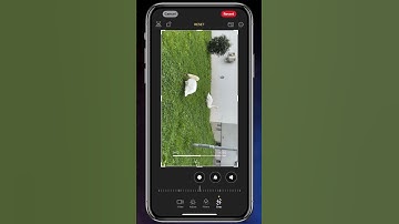 How to Rotate a Video on iPhone