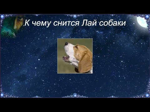 К чему снится Лай собаки (Сонник)