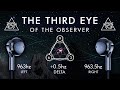 The third eye   pineal gland activation of the observer