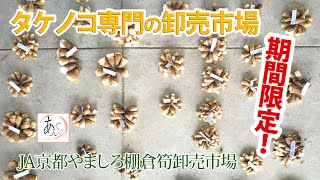 あんぐる】春の味 どっさり 旬の特産タケノコ（京都府山城地域） - YouTube