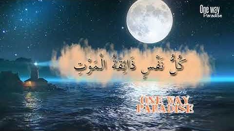 اروع تلاوات صاحب الحنجرة الذهبية الطفل انس الشهاب راحه نفسيه لا توصف