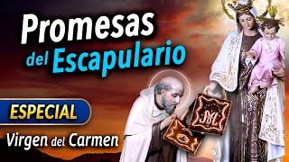 Our Lady Promised Us Heaven! The Power of the Scapular of Our Lady of Mount Carmel - SPECIAL DAY 2