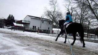 Horse Sledding 2012 - 3