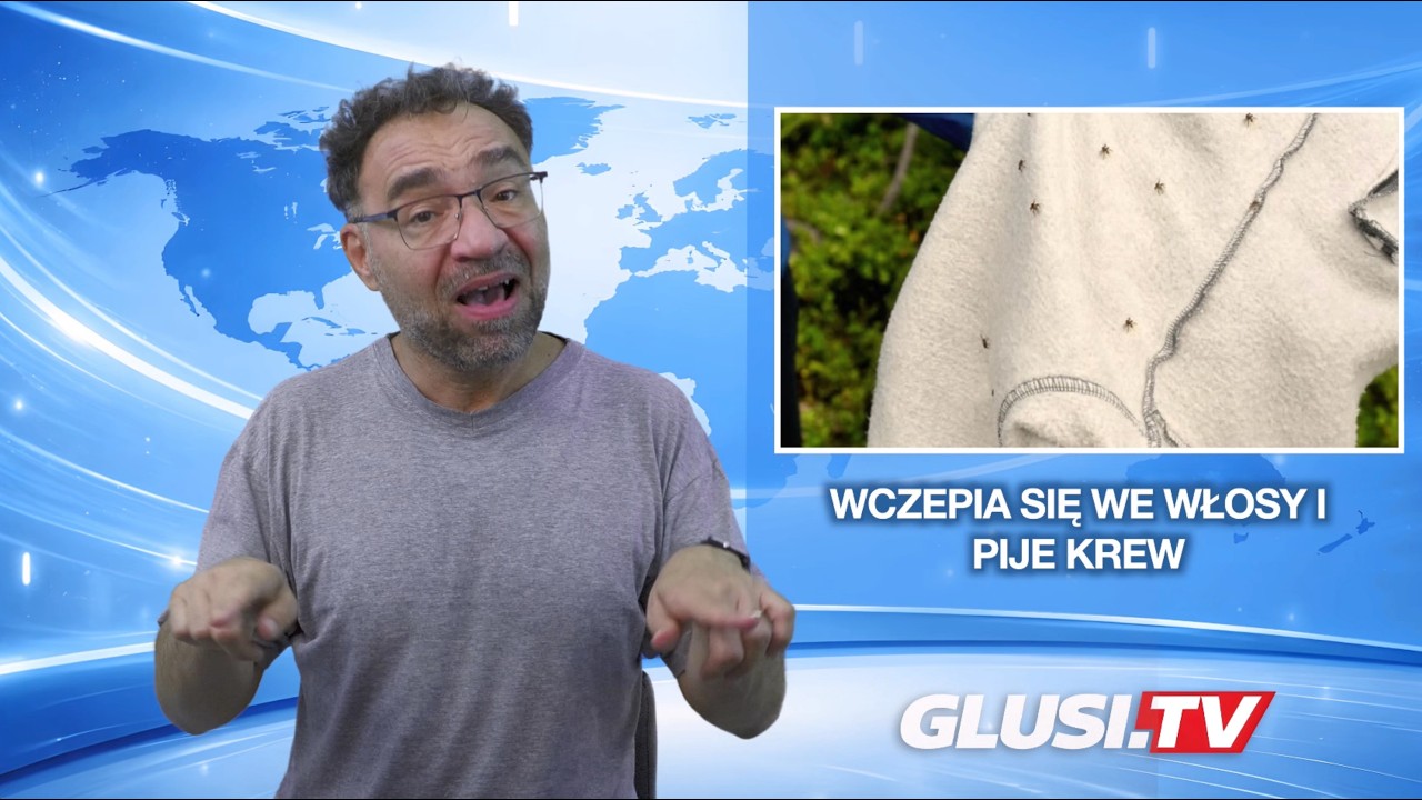 Wczepia się we włosy i pije krew