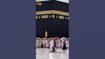 آيات من سورة الاحزاب القارئ الشيخ بدر التركي