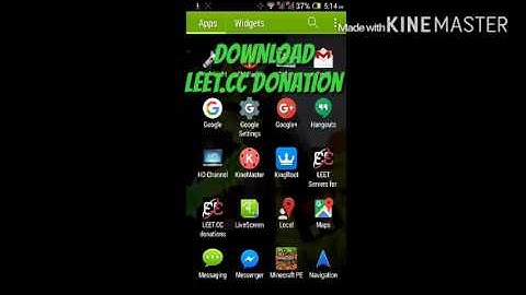 How To Donate on Leet.cc Servers