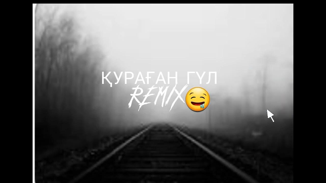 Гулар атиргул. Роза садбарг. Куураган гул. Садбарги зарринка. Алые маки иссык-куля.