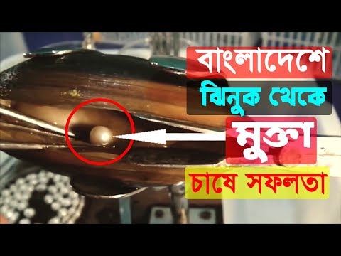 Bir yigit nasos bilan pompalanadigan mushukni sikadi