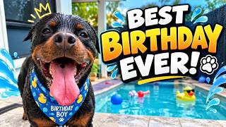 We Threw Our Dog an EPIC 8th Birthday Pool Party!