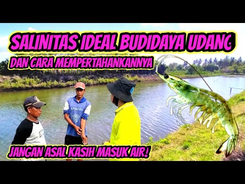 Video: Di suatu muara salinitas air meningkat sebagai?