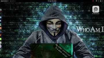 How to install adobe flash player on kali