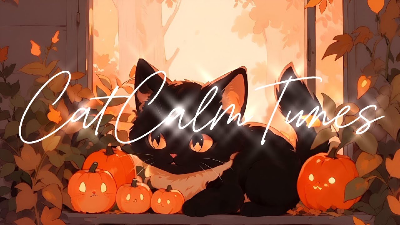 リラックスピアノBGM｜ かぼちゃ灯りと黒猫のやすらぎ音楽 ｰ Cat & Piano 🎃