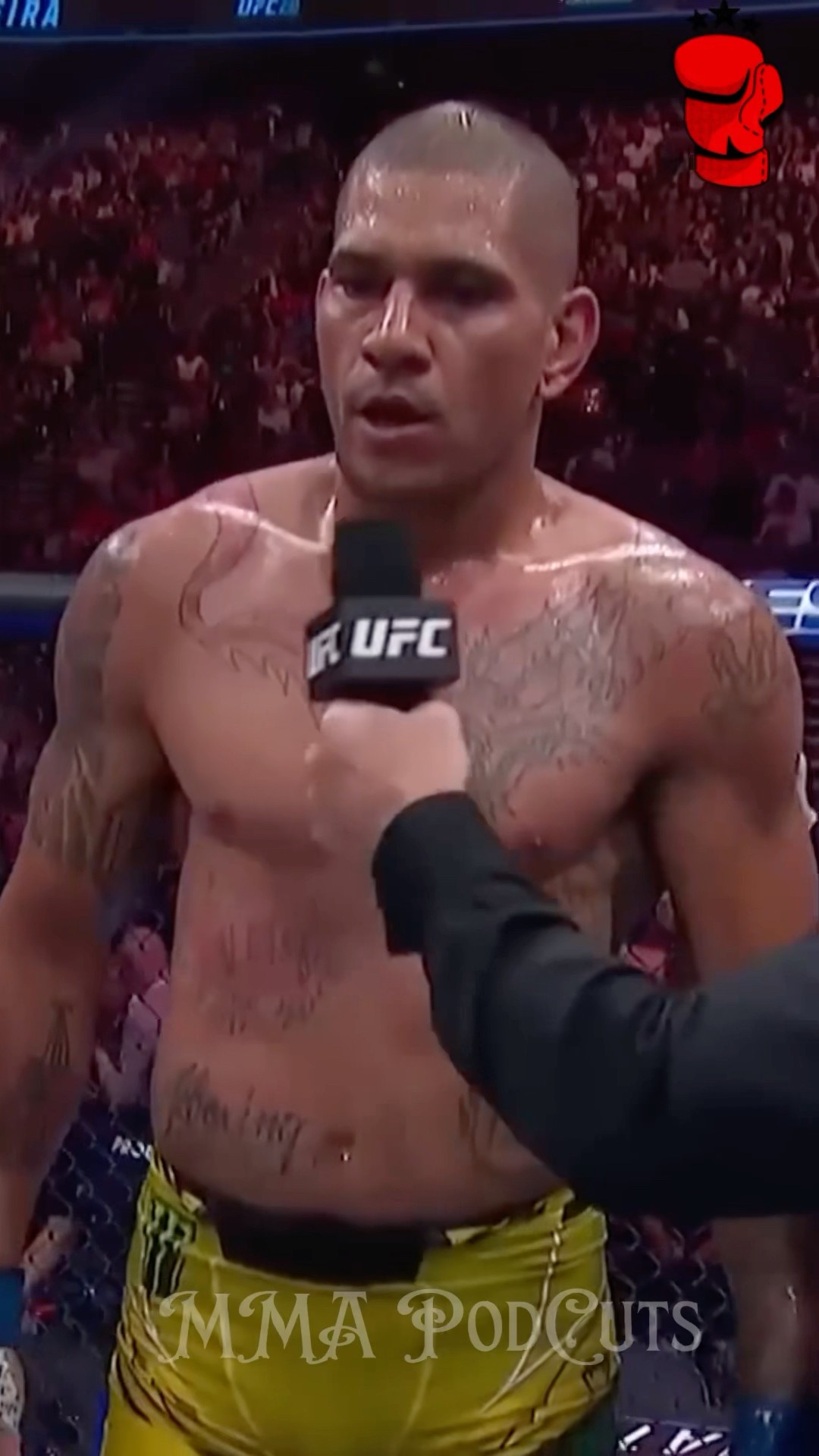 ALEX POATAN SOBRE ADESANYA  #mma #luta #boxe #ufc #foryou #shortsfeed #brasil