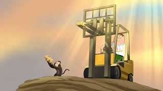 Family Guy S12E09 - Peter Is A Certified Forklift Driver #cartoon #funny  #familyguy