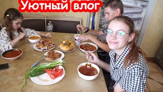 VLOG Чуть не попали в ДТП. Катины и Алисины друзья у нас в гостях