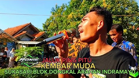 JALUK PING PITU VOC : YANTO _ KEMBAR MUDA _ SUKASARI BLOK DONGKAL ARAHAN INDRAMAYU