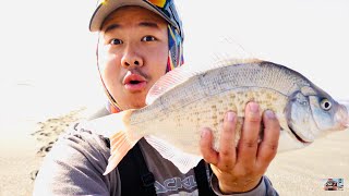 New here? subscribe for more fishing adventures! lets get to 5,000
subscribers! watch it in hd 1080!! what a day! big ones always make up
the numbers. ti...