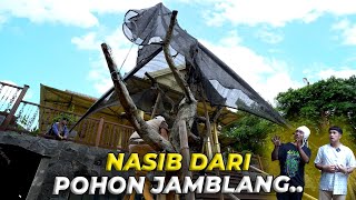 #102 PENDOPO | AKHIRNYA GUE TAU YANG HARUS DILAKUKAN SAMA POHON JAMBLANG, NUHUNN KANG DODI BADUY..