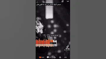 صعب اديك الامان شيرين حالات واتس اب 