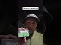 The best nicotine pouches #lippillow #nicozy #nicozypouches #zyn