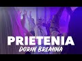 Dorin breahna  prietenia audioofficial