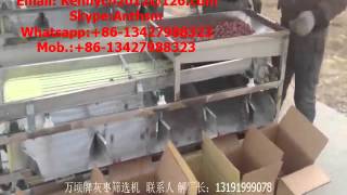 Celebrity QY-01 dates and fruit grading sorting machine, grader, sorter Wealth