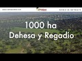 Finca rústica de 1000 ha en Portugal. Dehesa y labor de regadío.