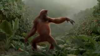 Maymun Dansı Alekta Movik Movik - I Like To Move It Komik Reklam İçerir 