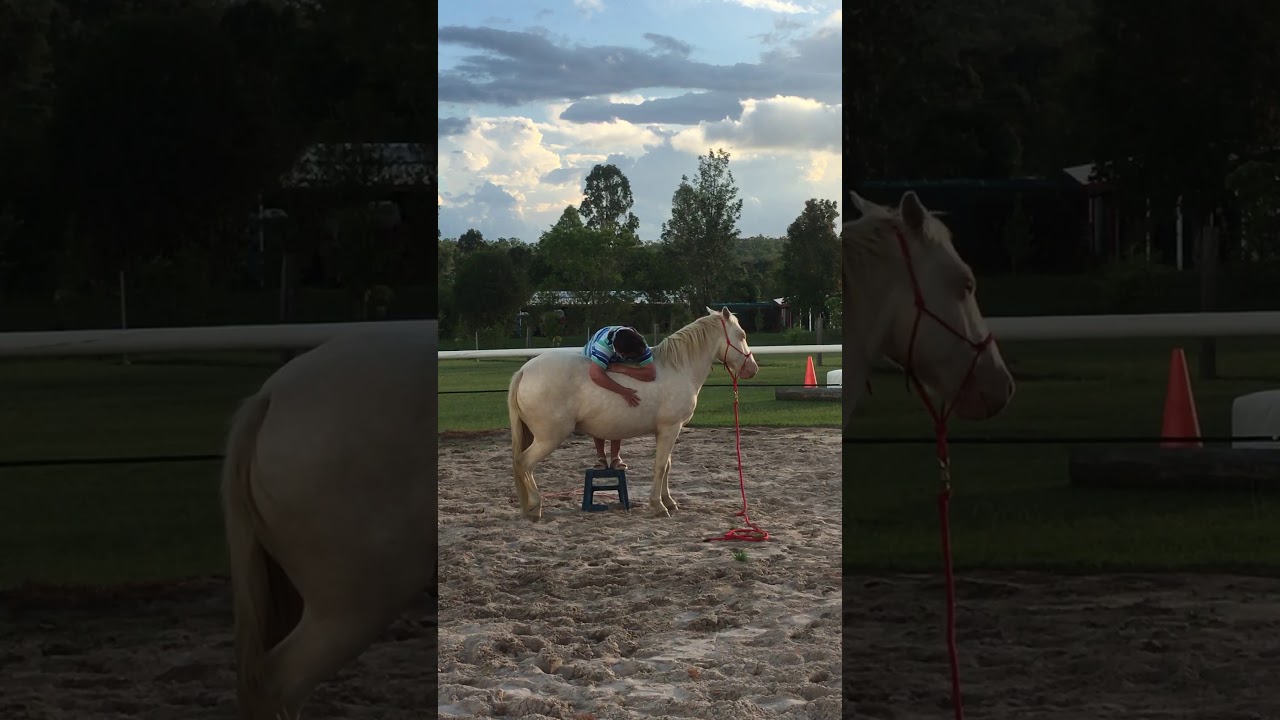camera iphone 8 plus apk Accepting a rider preparation